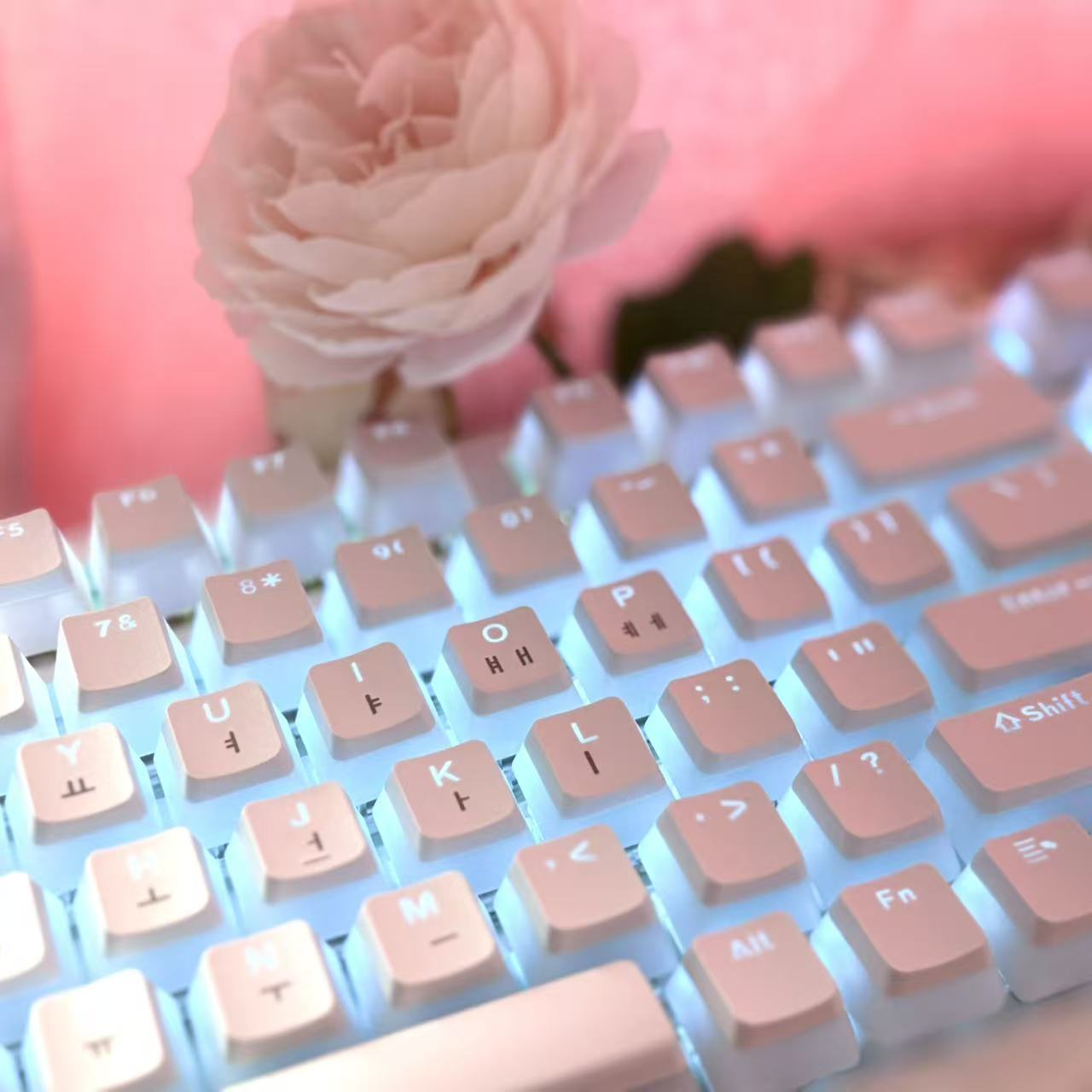 Hangul Keycap tata letak Korea - Gaming Set Accessories ulasan dan harga